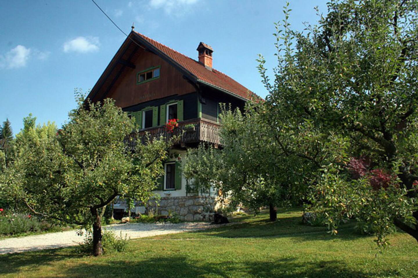 Experiences at Bajtica